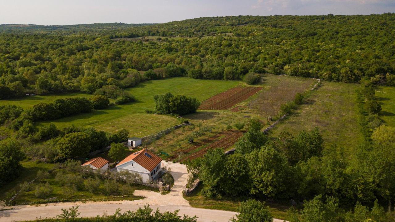 Spignoviza Villa Kanfanar Esterno foto